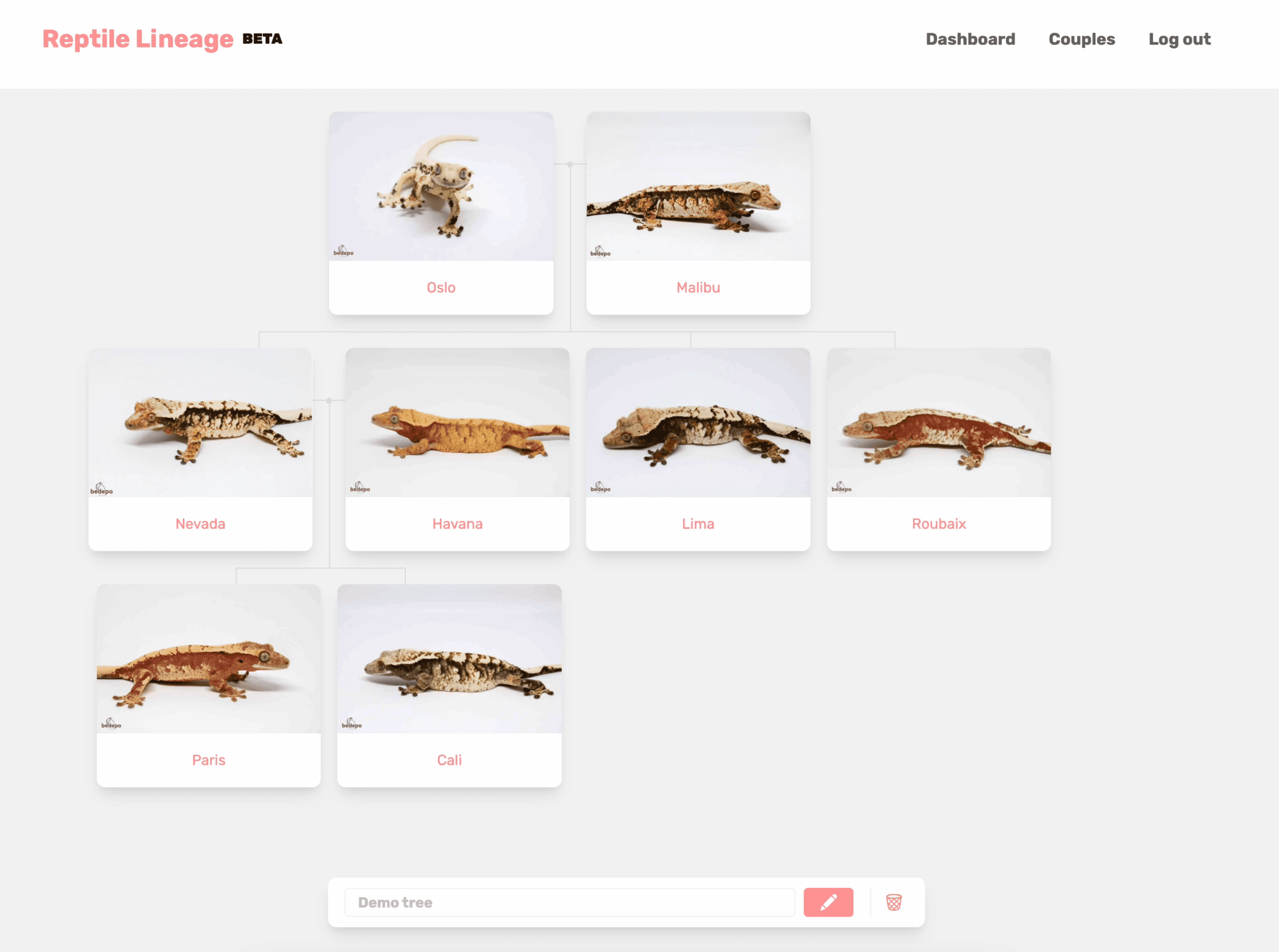 Reptile Lineage